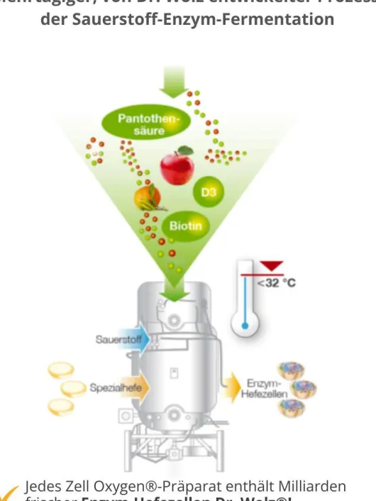 Zell Oxygen Formula Trinkampullen