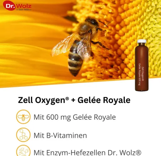 Zell Oxygen + Gelee Royale 600 mg 14 X 20 ml Trinkampullen